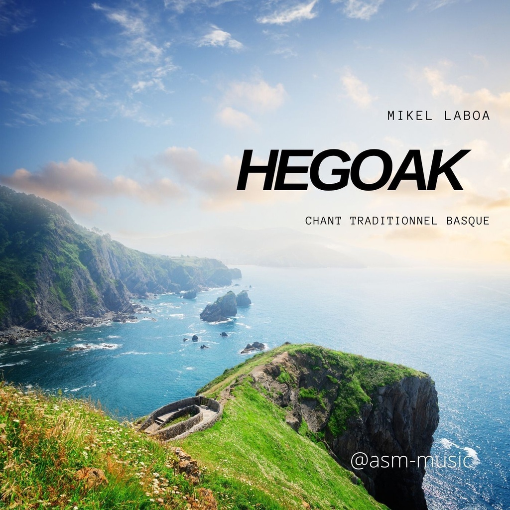 Hegoak